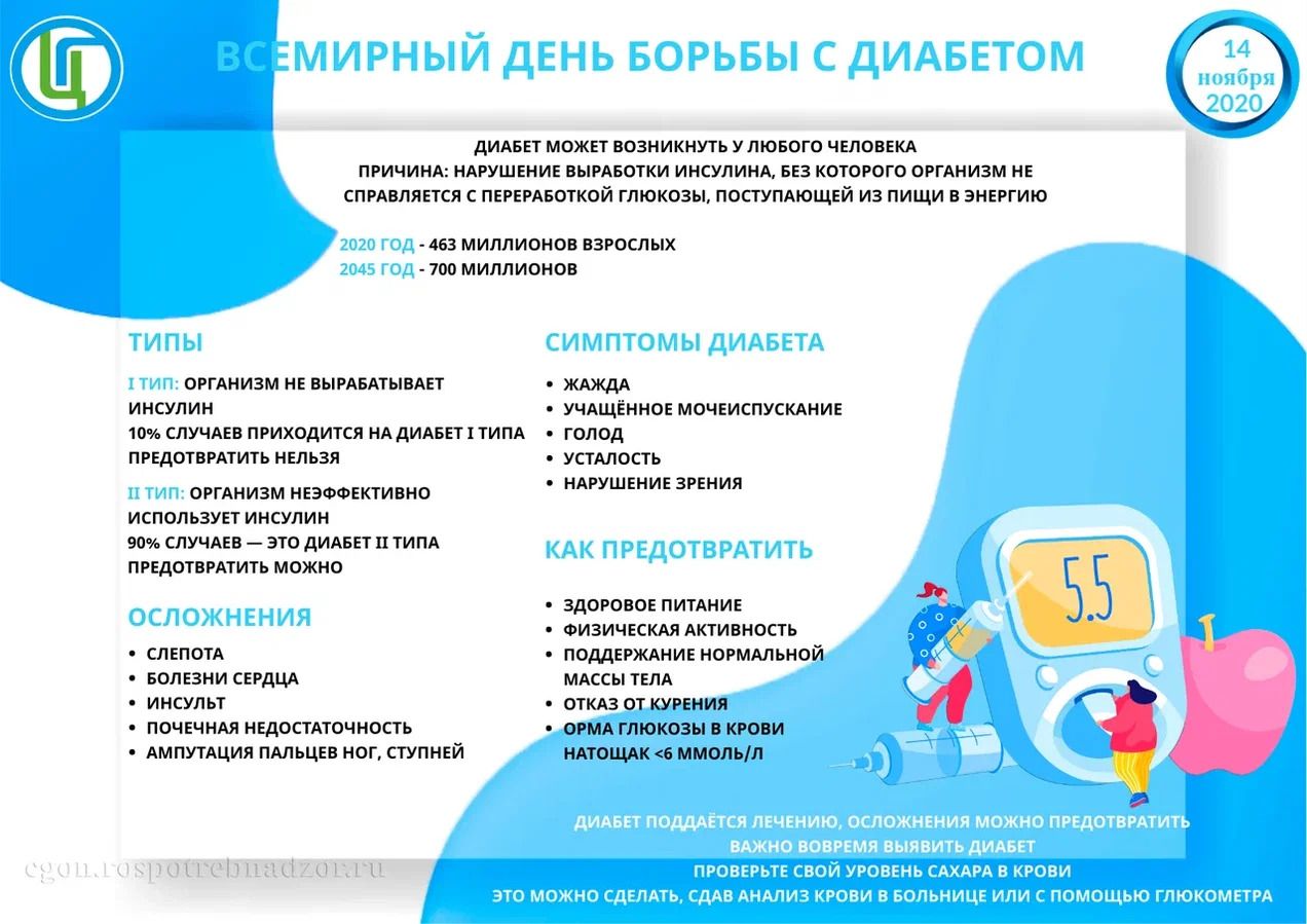 WhatsApp Image 2022 11 18 at 16.56.14