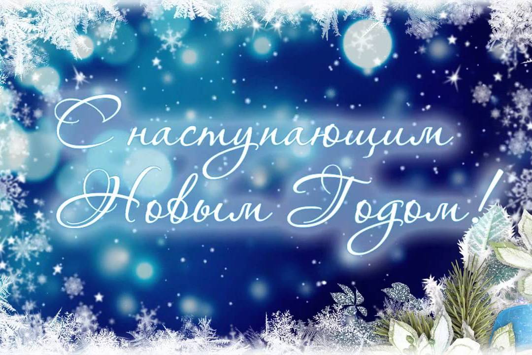 WhatsApp Image 2023 12 31 at 09.30.46